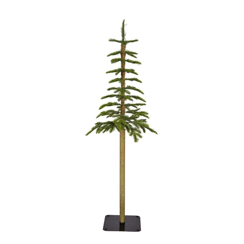 Alpine Fir Tree Natural