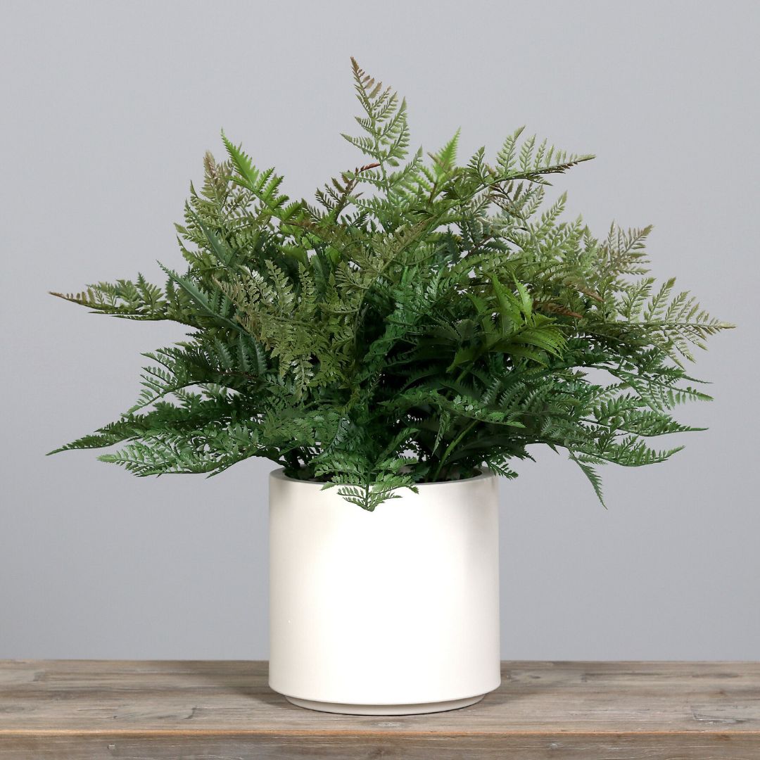 Artificial Fern Arrangement in Cream Pot