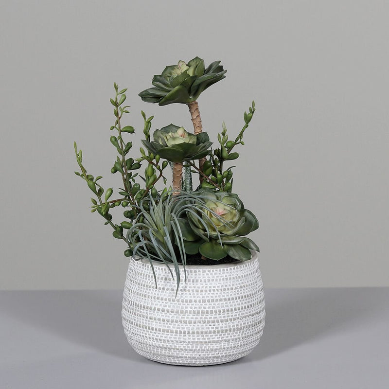 Artificial Succulent Arrangement in Bowl 33cm - The Garden HouseDPI