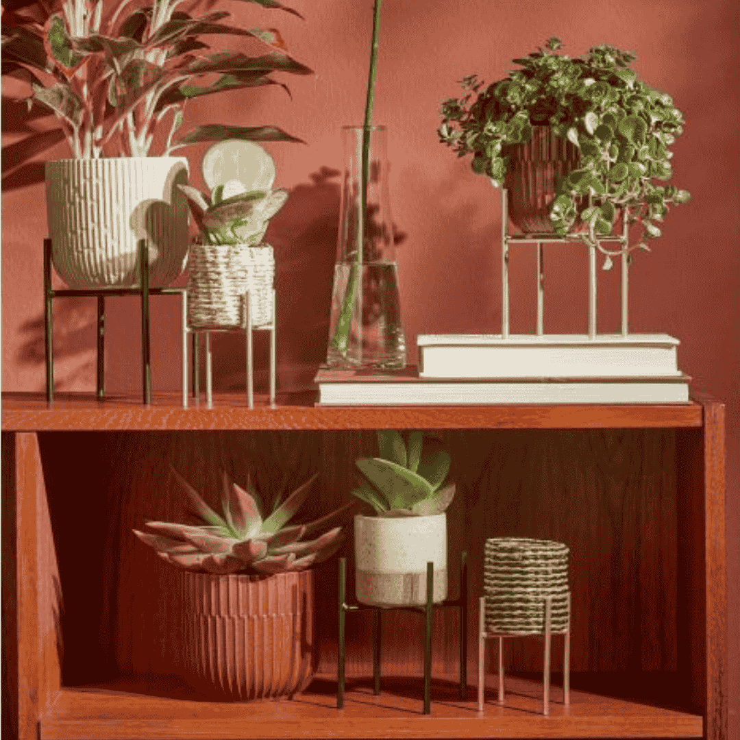 Ascot Plant Stand Gold