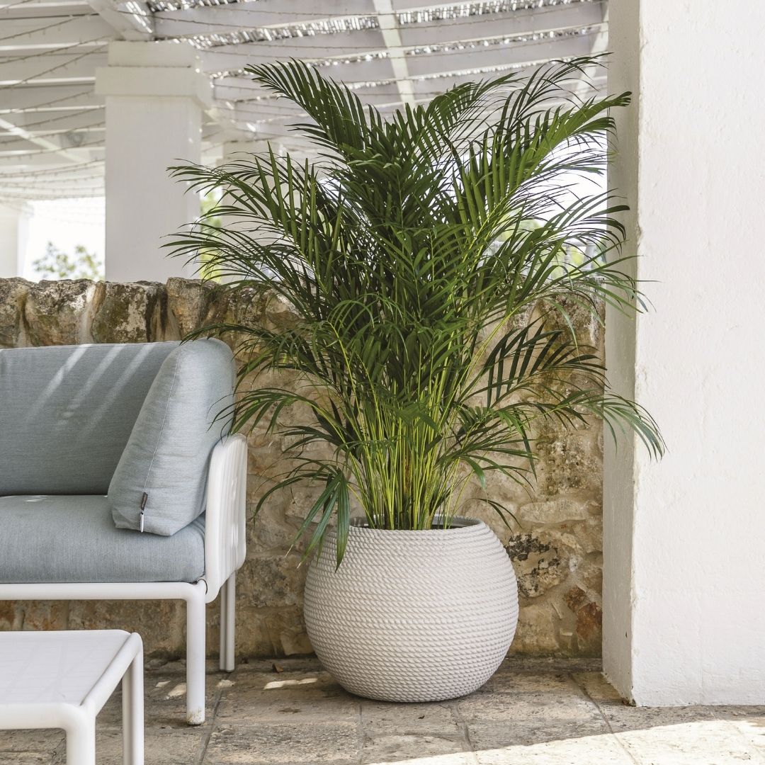 Bali Global Pot Corda - Off White