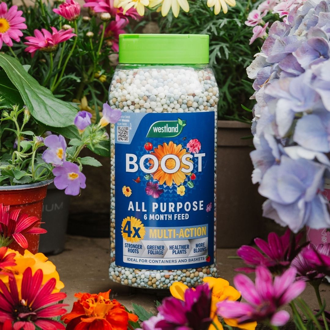 Westland Boost All-Purpose 6 Month Plant Feed