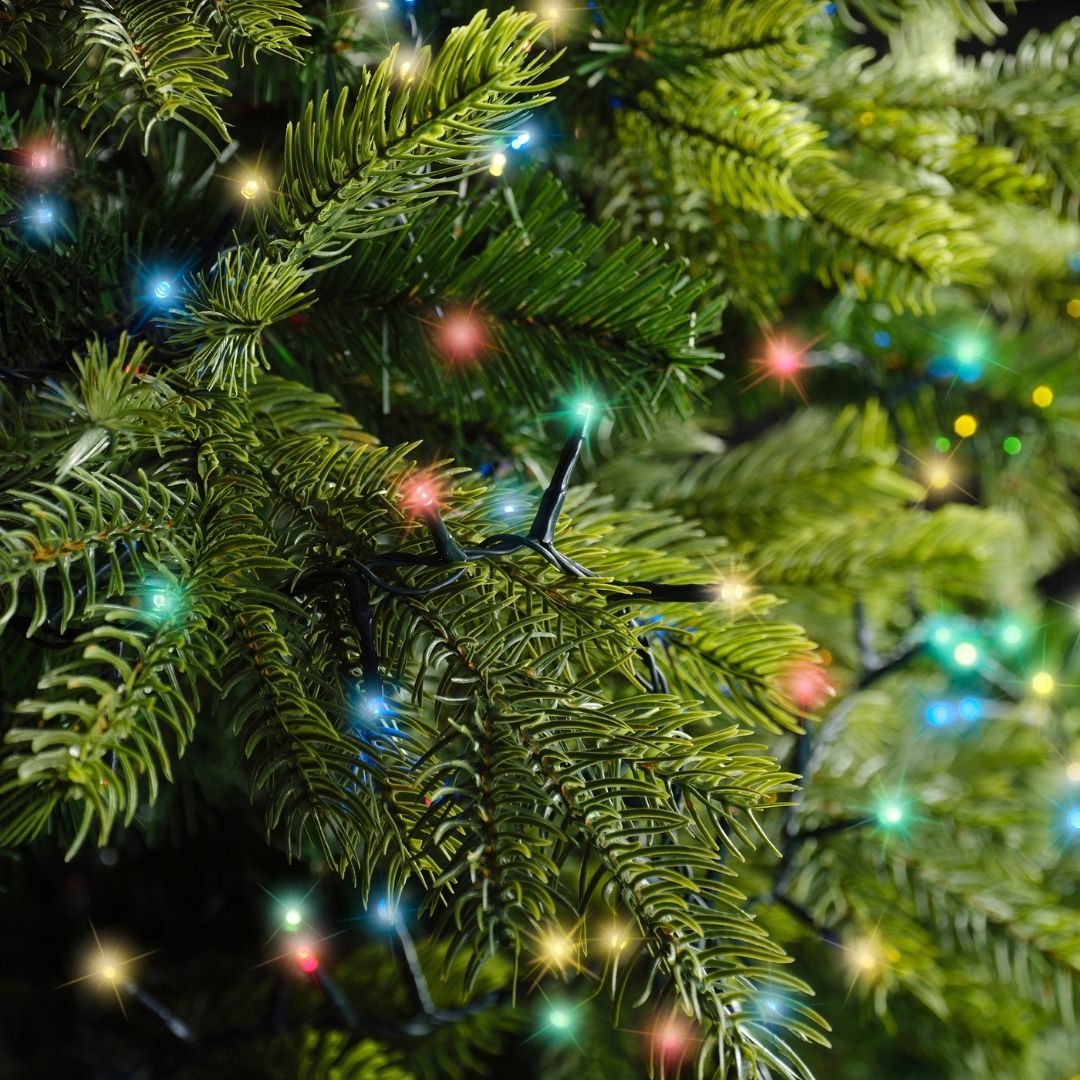 Christmas Lights 1000 LED Compact - Multi Colour