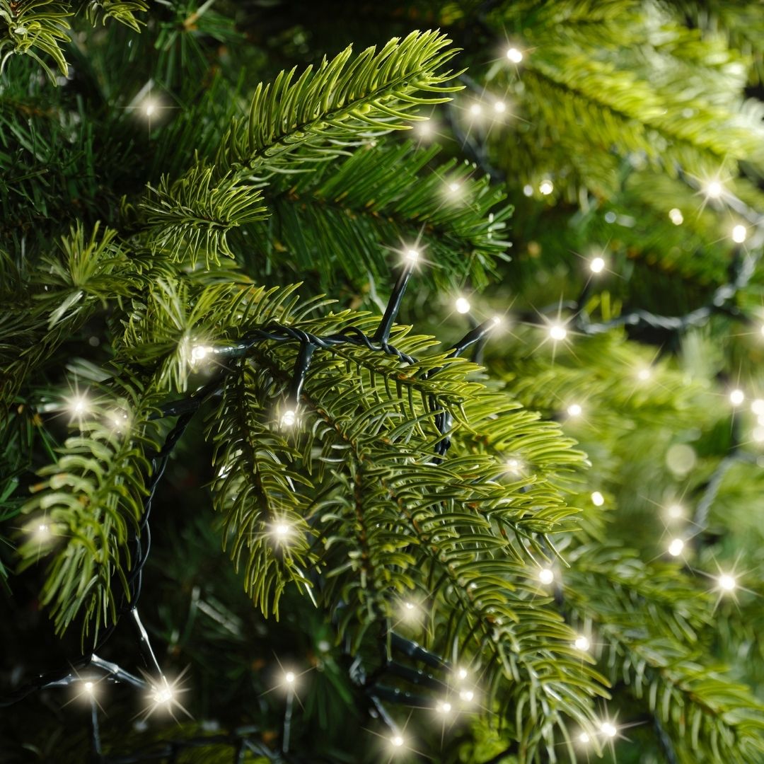 Christmas Lights 500 LED Compact - Warm White