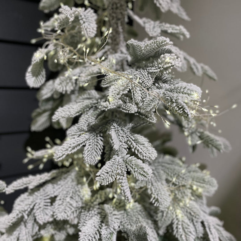 Christmas Snowy Alpine Fir Tree