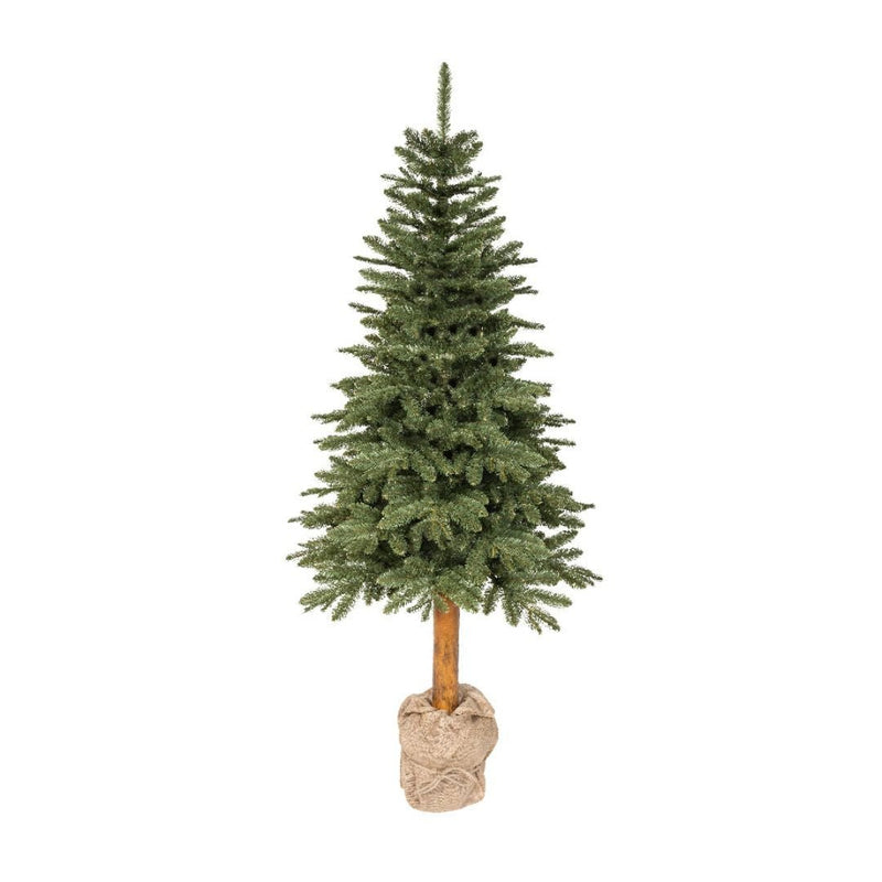 Christmas Tree Tiaga Fir