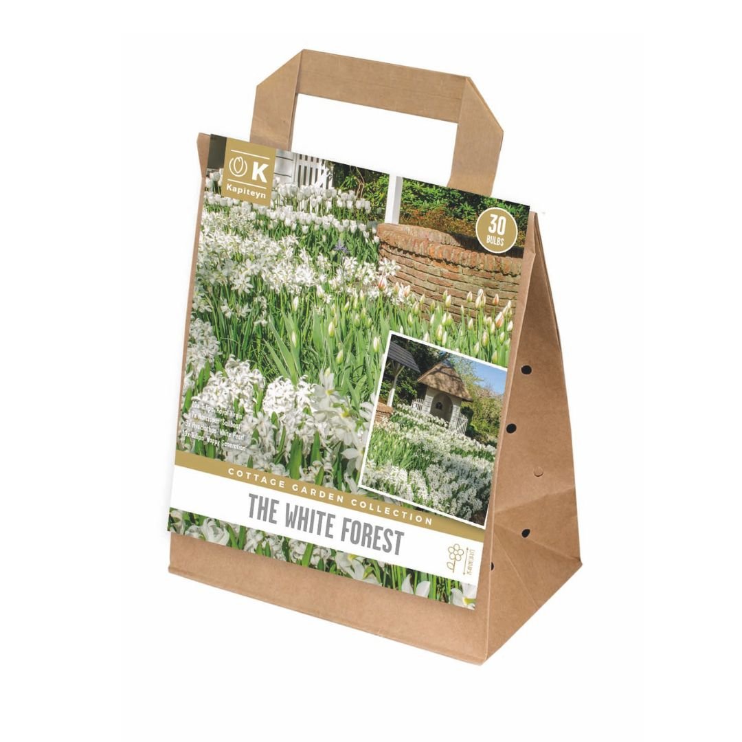 Cottage Garden Bulbs - White Forest