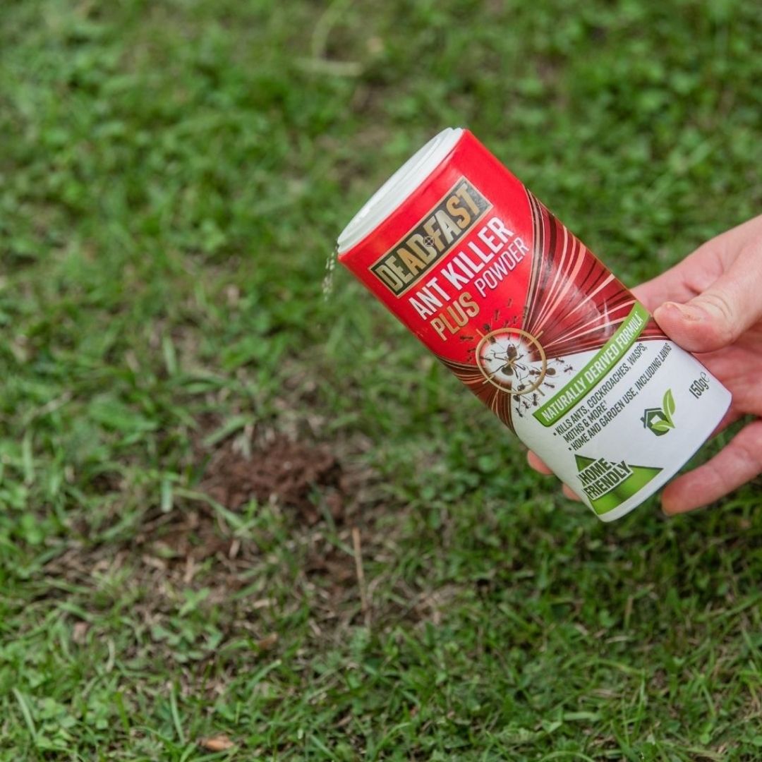 Deadfast Ant Killer Plus Powder