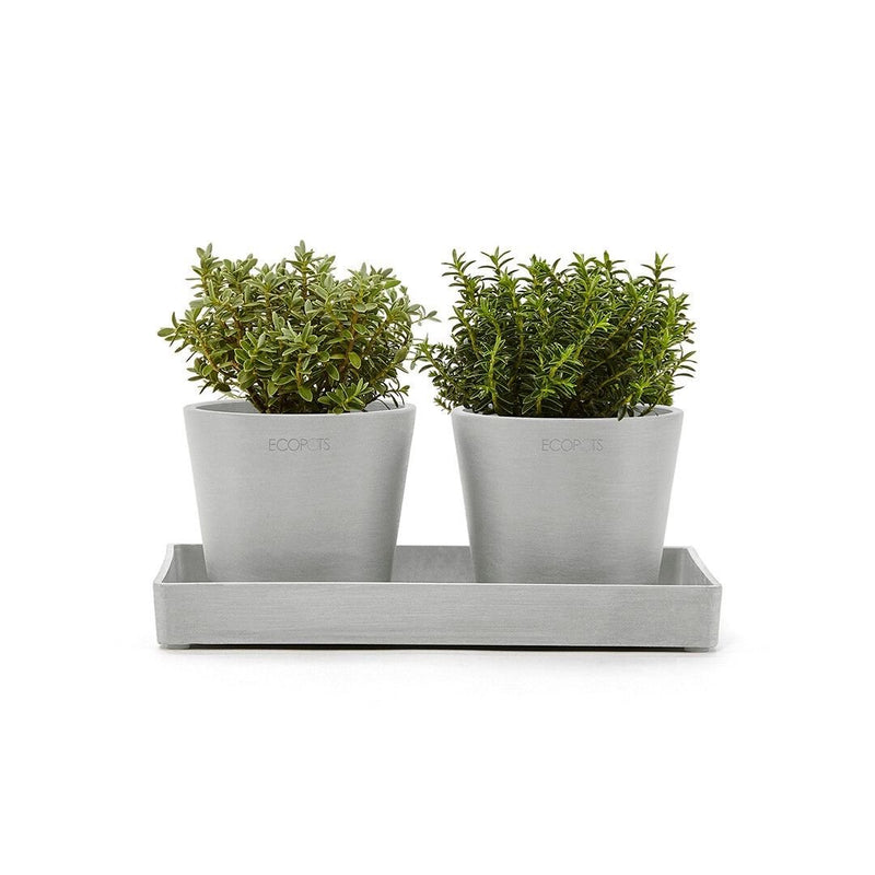 Ecopots Display Platter White Grey - The Garden HouseEcopots