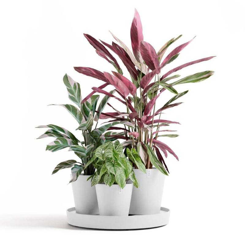 Ecopots Dubai Pure White