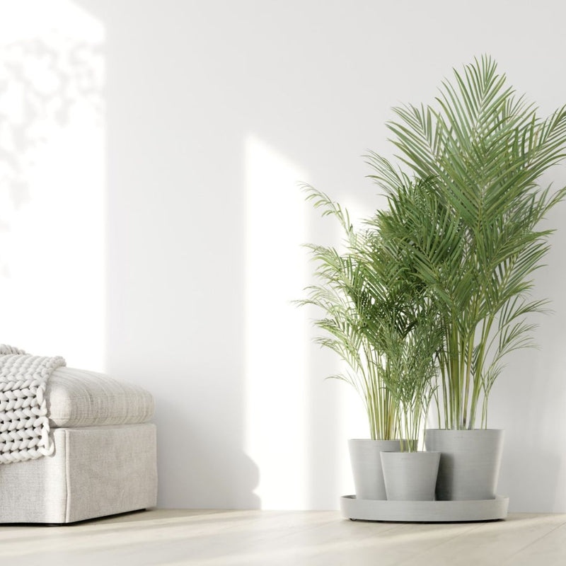 Ecopots Dubai White Grey