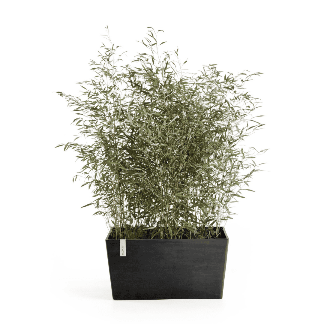 Ecopots Paris Dark Grey 80cm