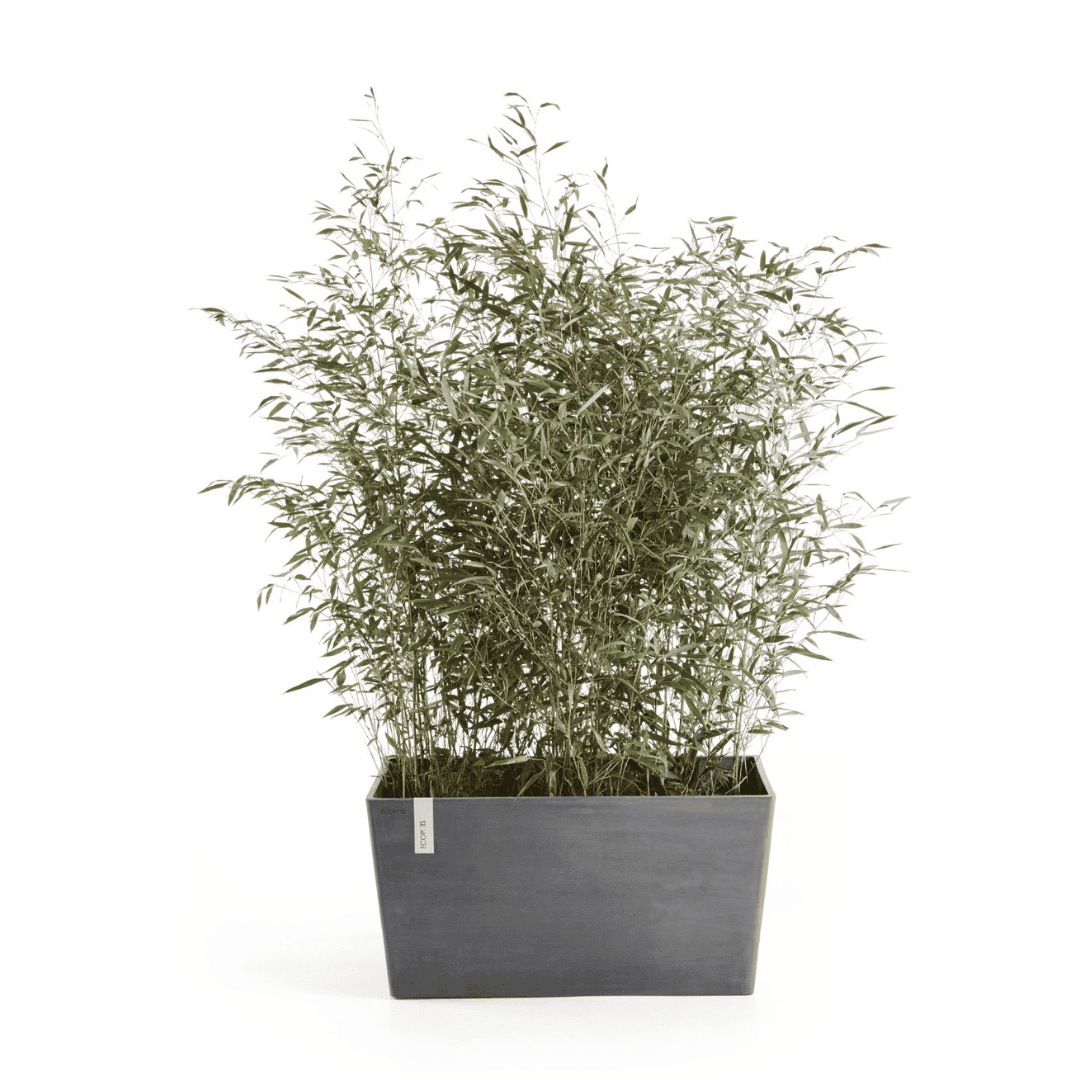 Ecopots Paris Grey 80cm