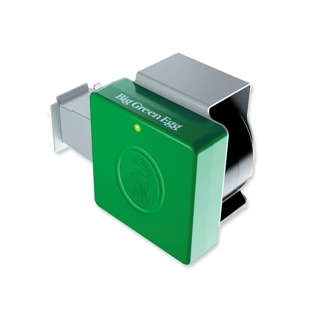 EGG Genius Big Green Egg