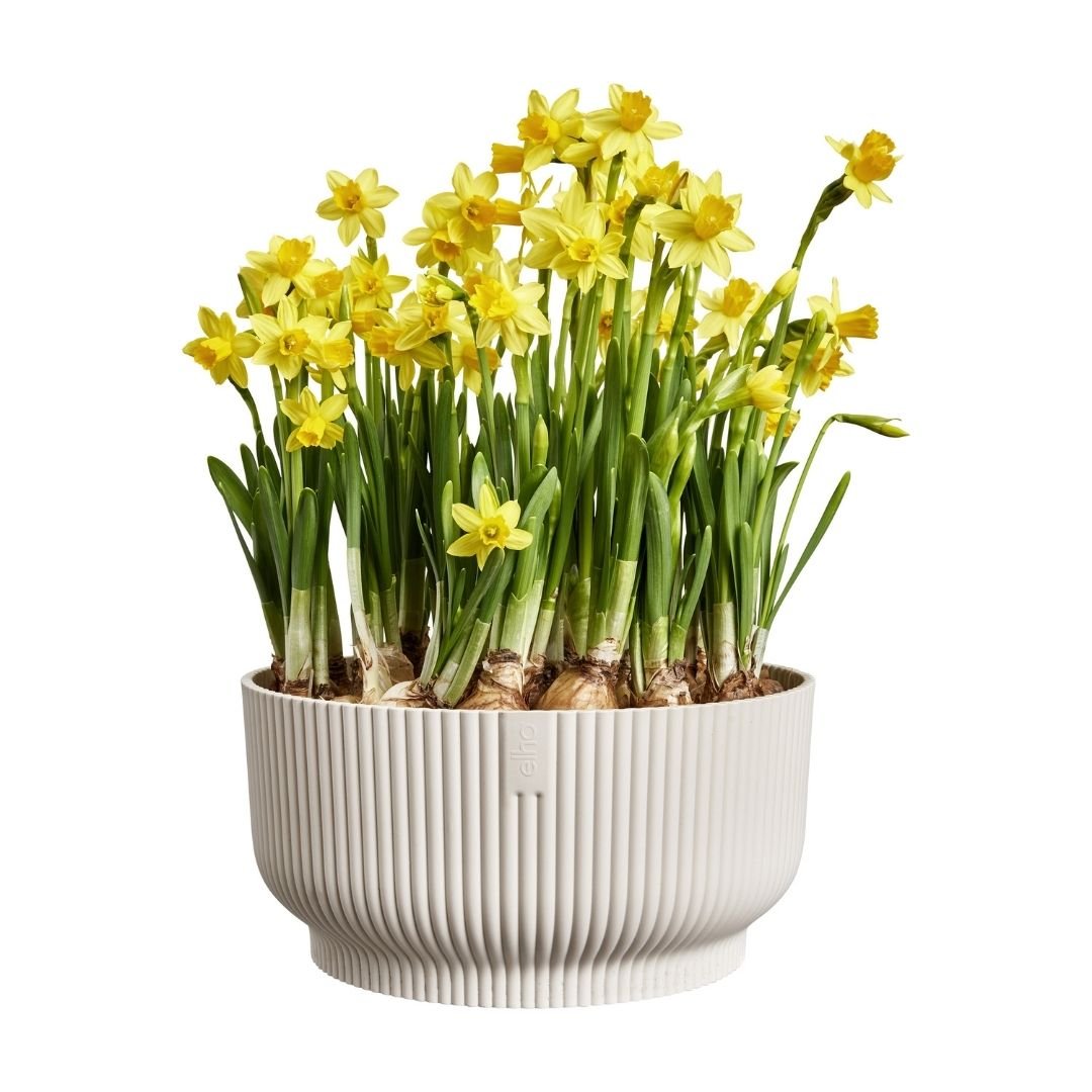 elho plant pots Elho Vibes Bowl Planter Linen White 25cm