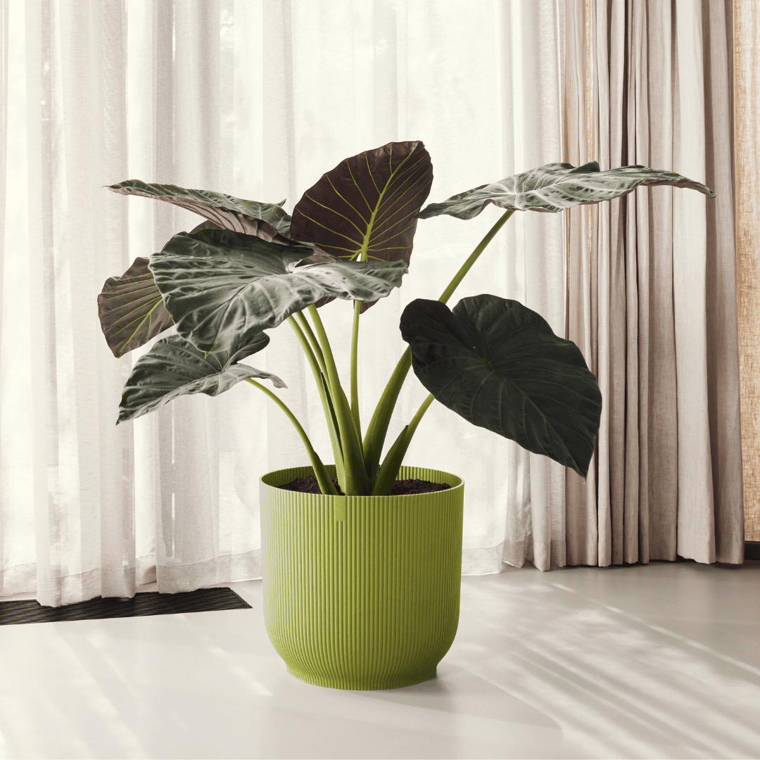Elho Vibes Round Fern Green Plant Pot