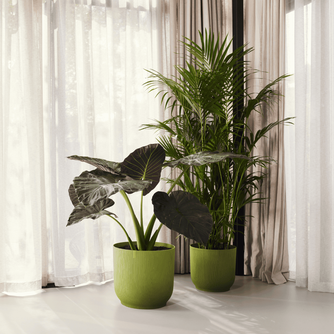 Elho Vibes Round Fern Green