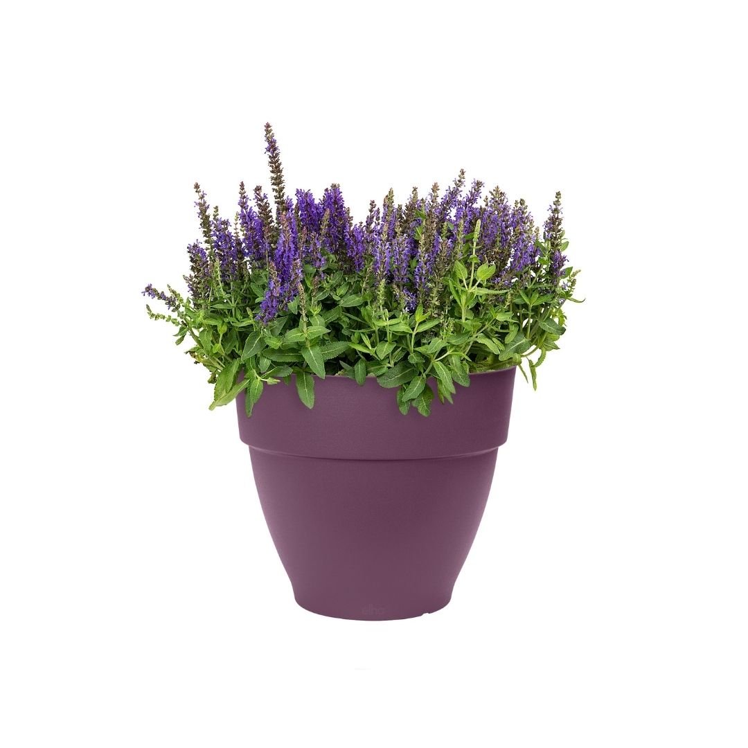 Elho Vibia Campana Round Maple Purple