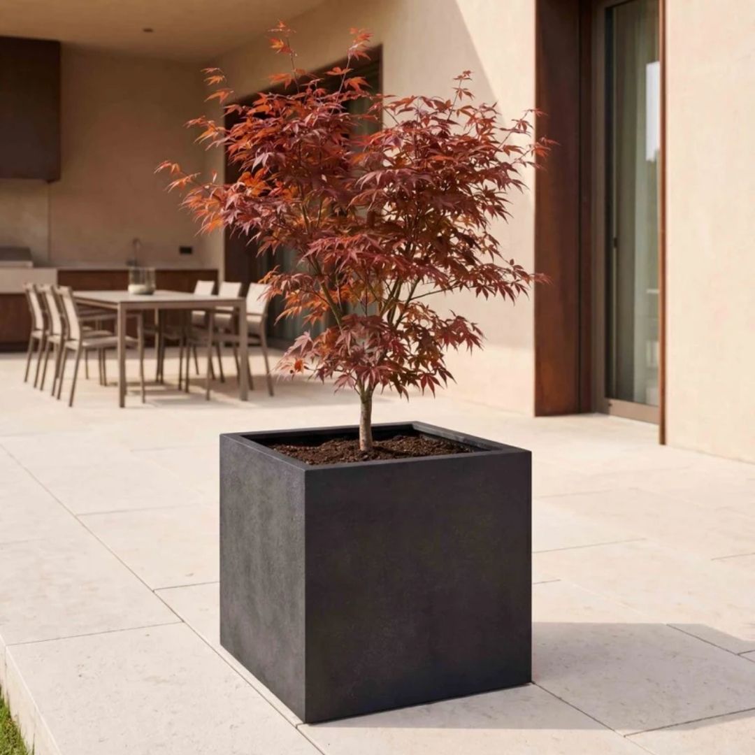 Eschbach Cube Planter - Espresso Black