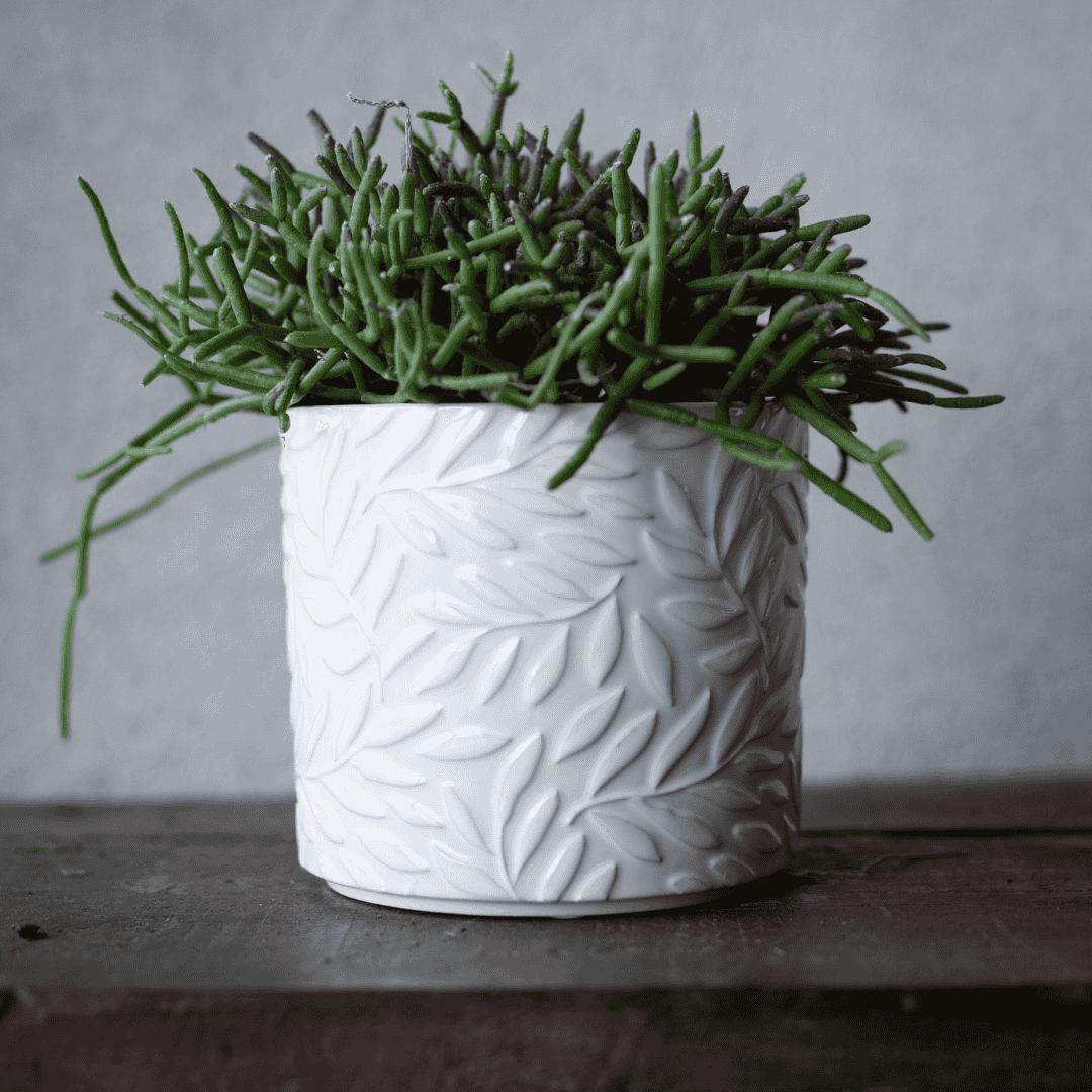 Esmeralda Pot White