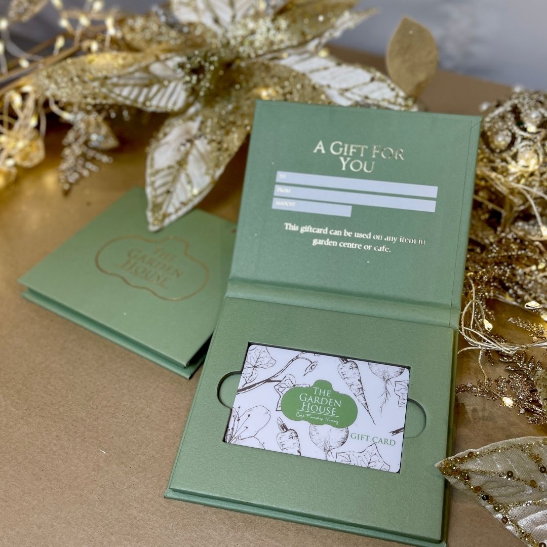 Gift Card Holder - Gold