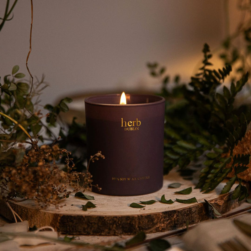 Herb Dublin Christmas Candle Comfort & Joy