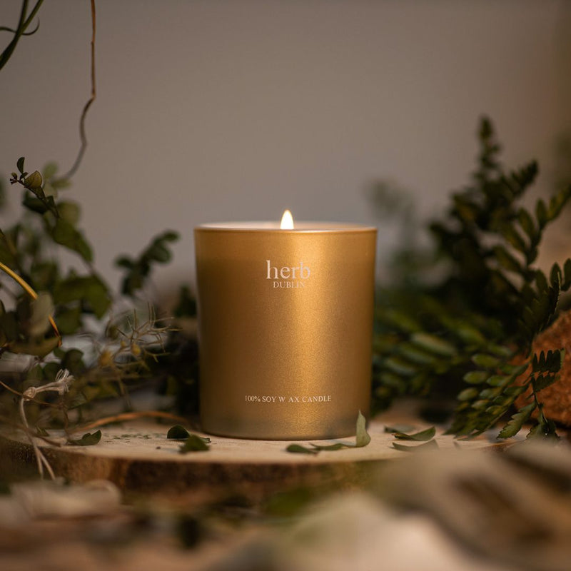 Herb Dublin Holly Jolly Christmas Candle