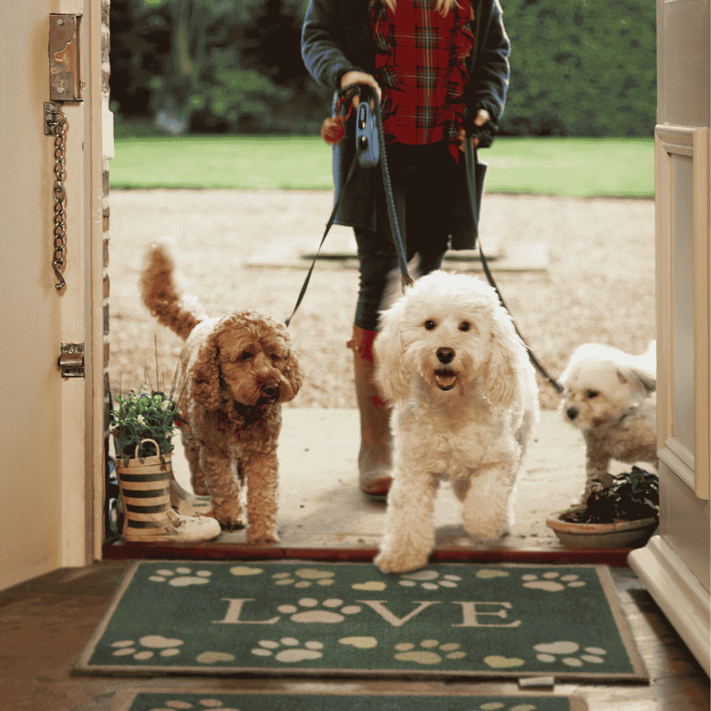 Hug Rug Love Paws Mat – Eco-Friendly, Non-Slip, Washable Mat | The ...