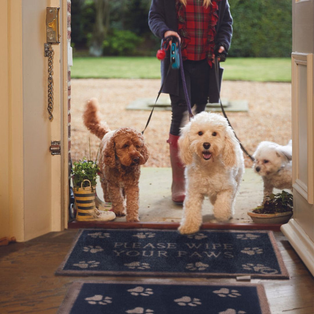 Hug Rug Doormat Pet 10