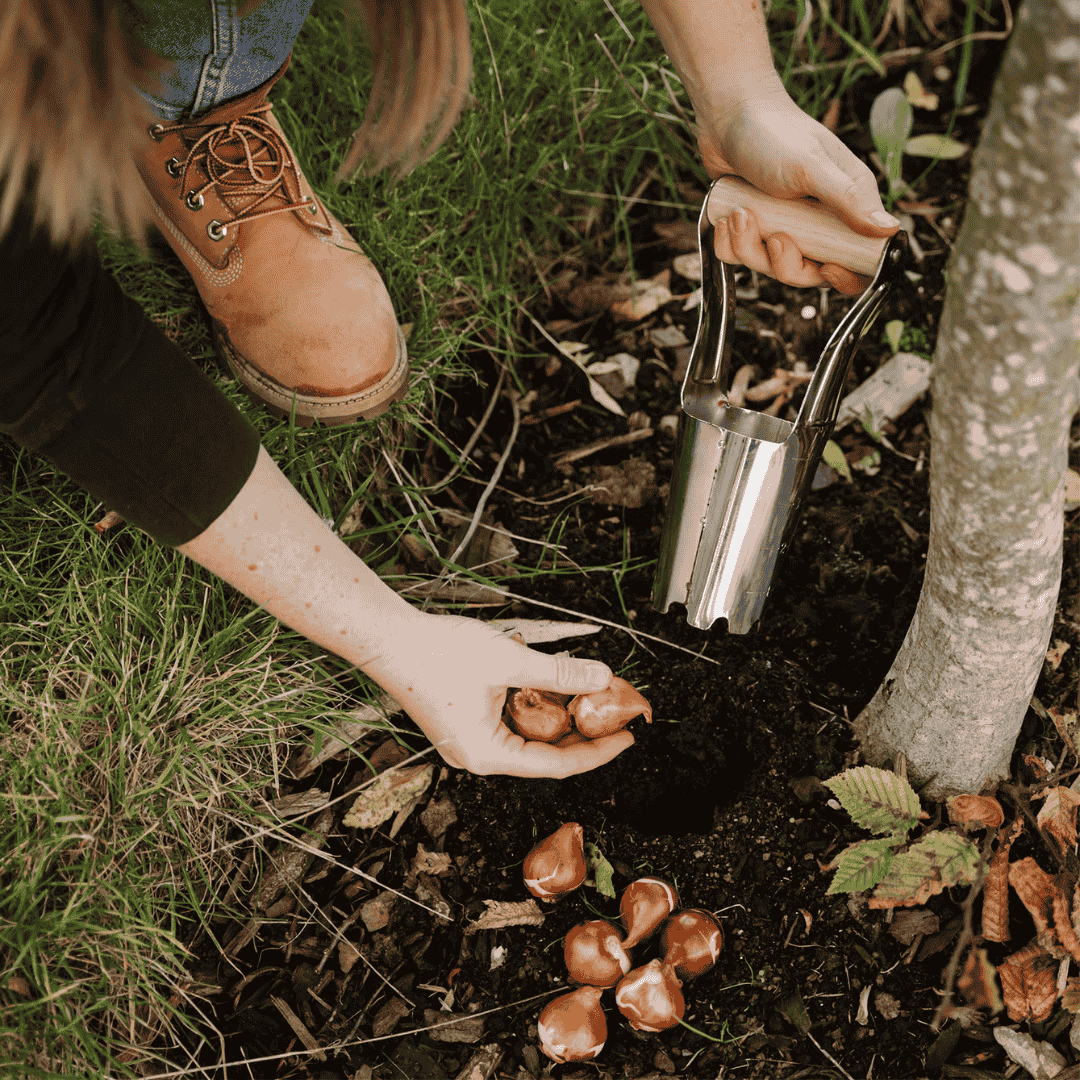 Kent & Stowe Carbon Steel Hand Bulb Planter