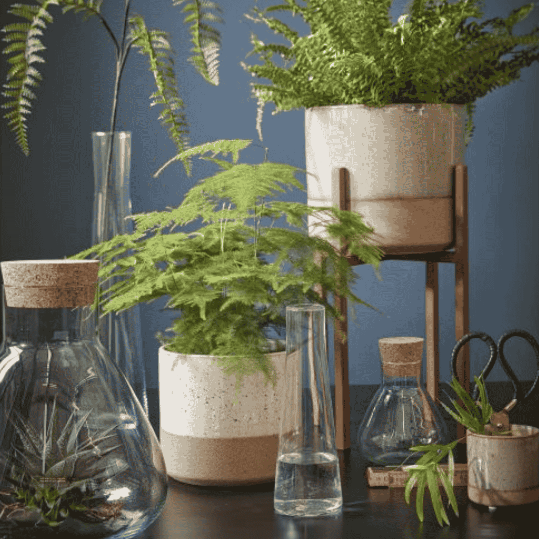 Lago Pot Off White