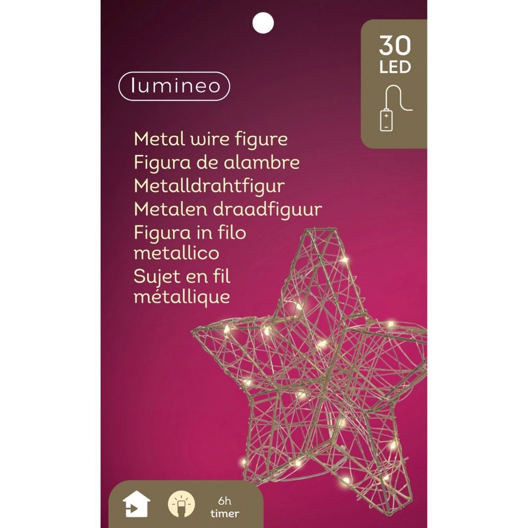 Christmas Micro LED Wire Star