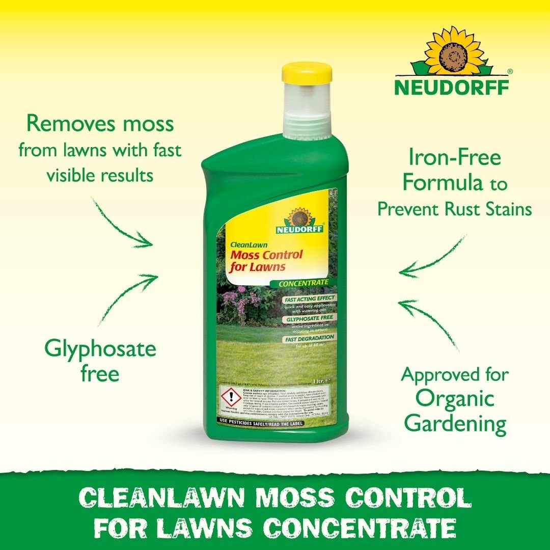 Moss Control For Lawns