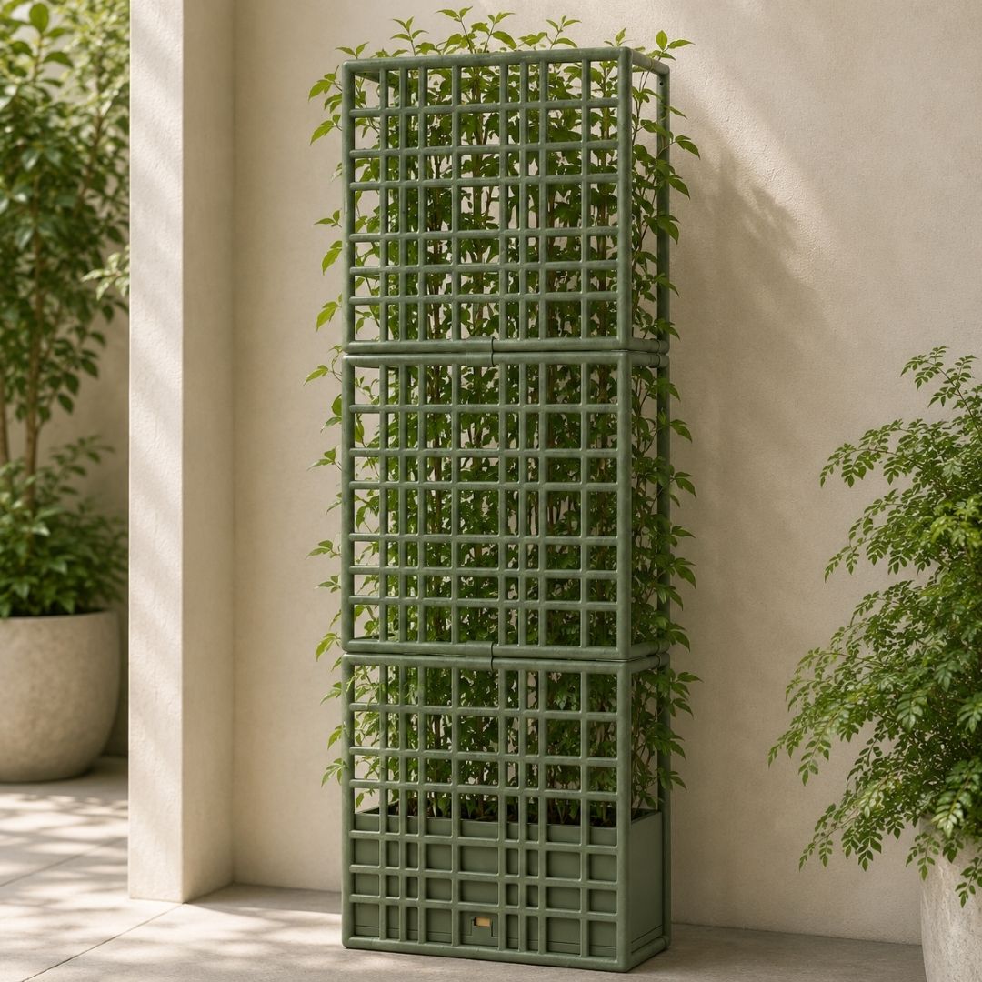 Sipario 3 Modular Partition - Cactus