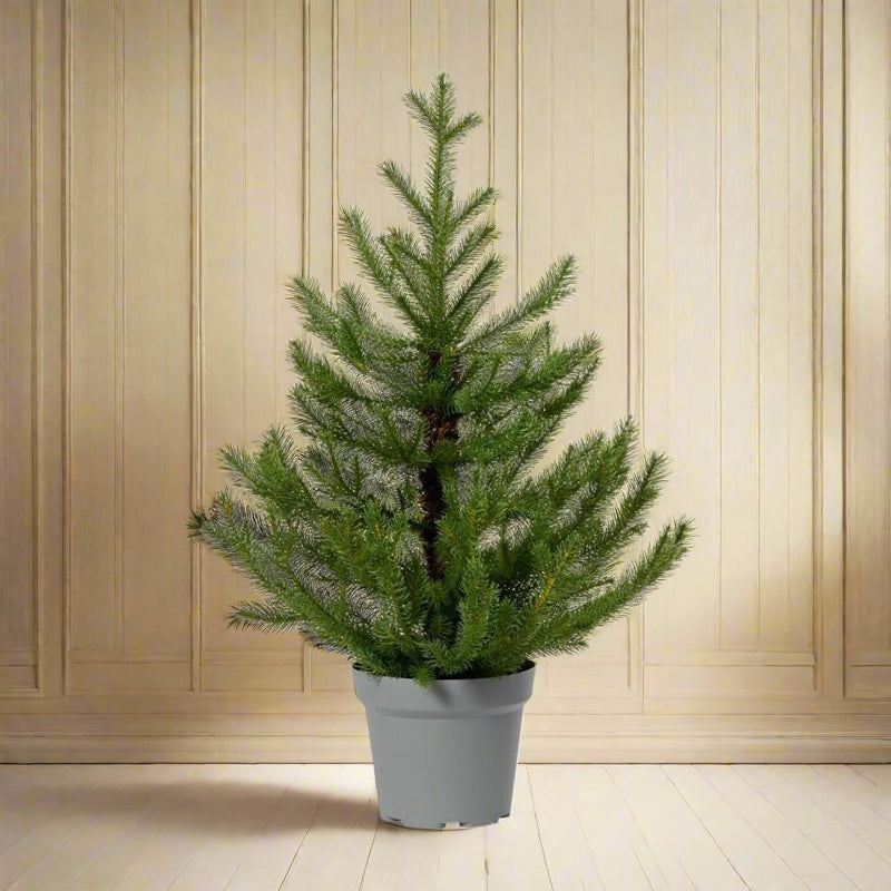 Norway Mini Artificial Tree Indoor