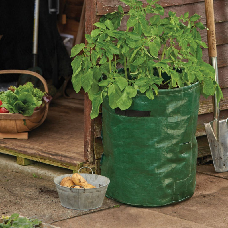 Potato Planter Bag