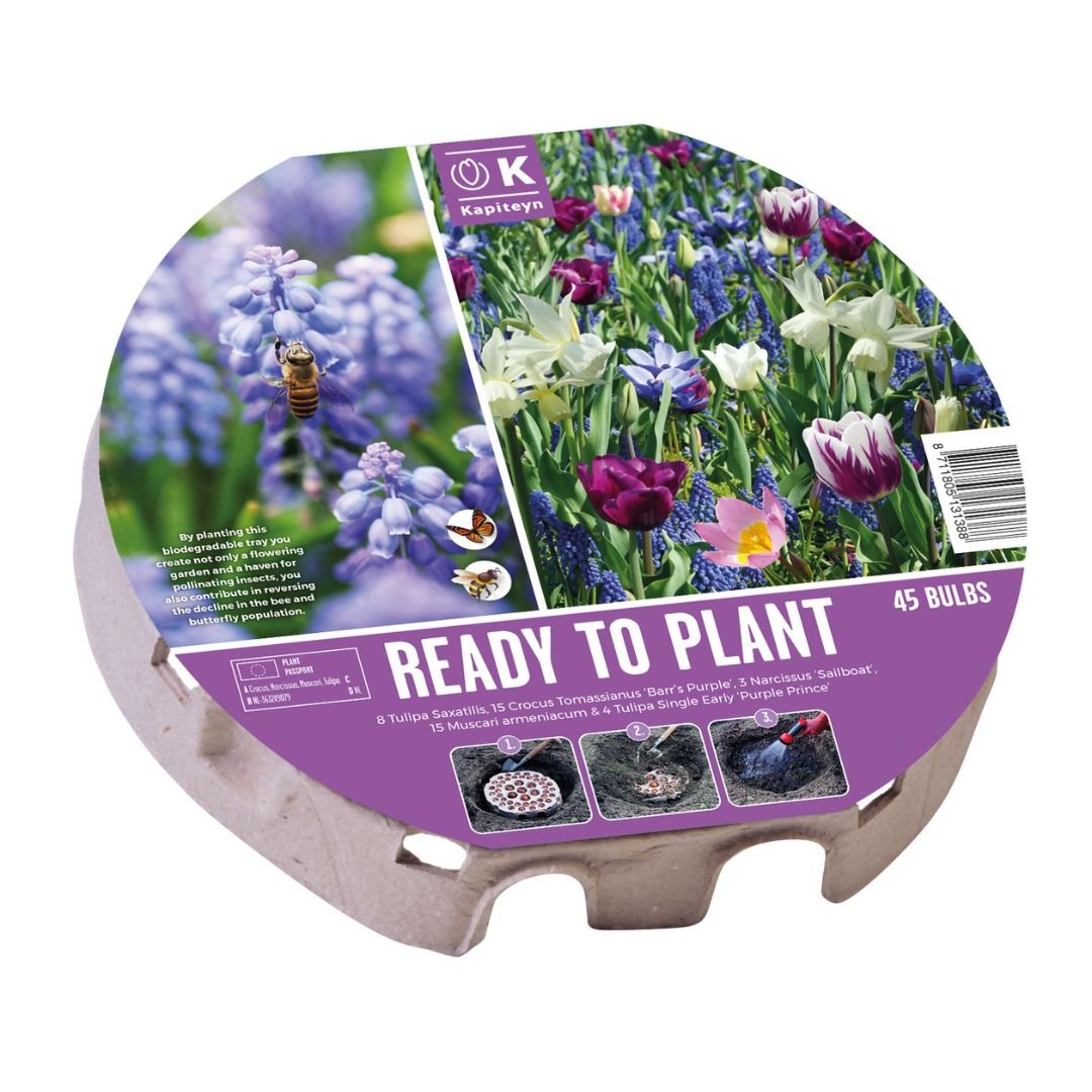 Ready To Plant Tray Biodiversity Bulbs