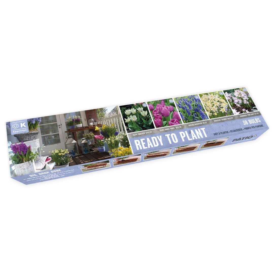 Ready To Plant Tray Mix Bulbs