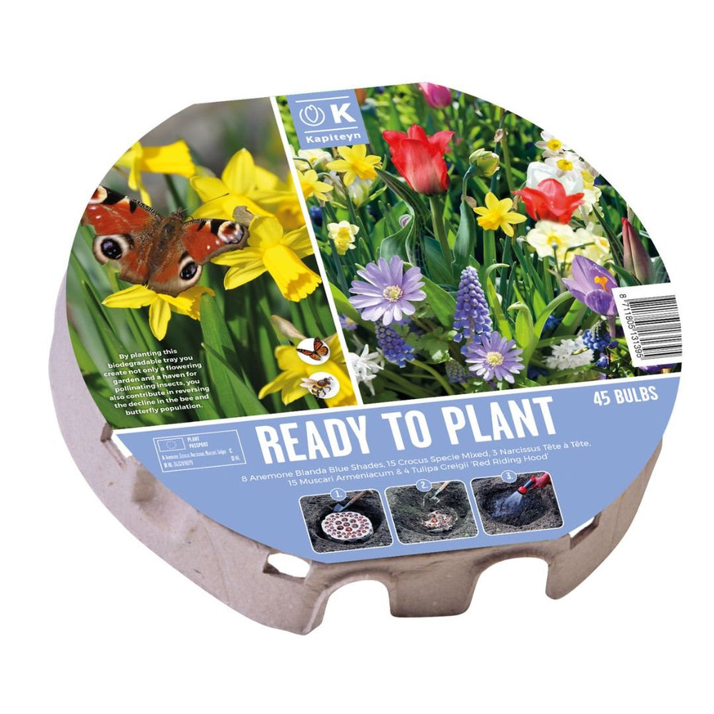 Buy Spring Bulbs Online - Plant Now for a Colourful Spring Garden