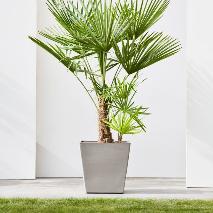 Large Square Ecopots on Wheels
