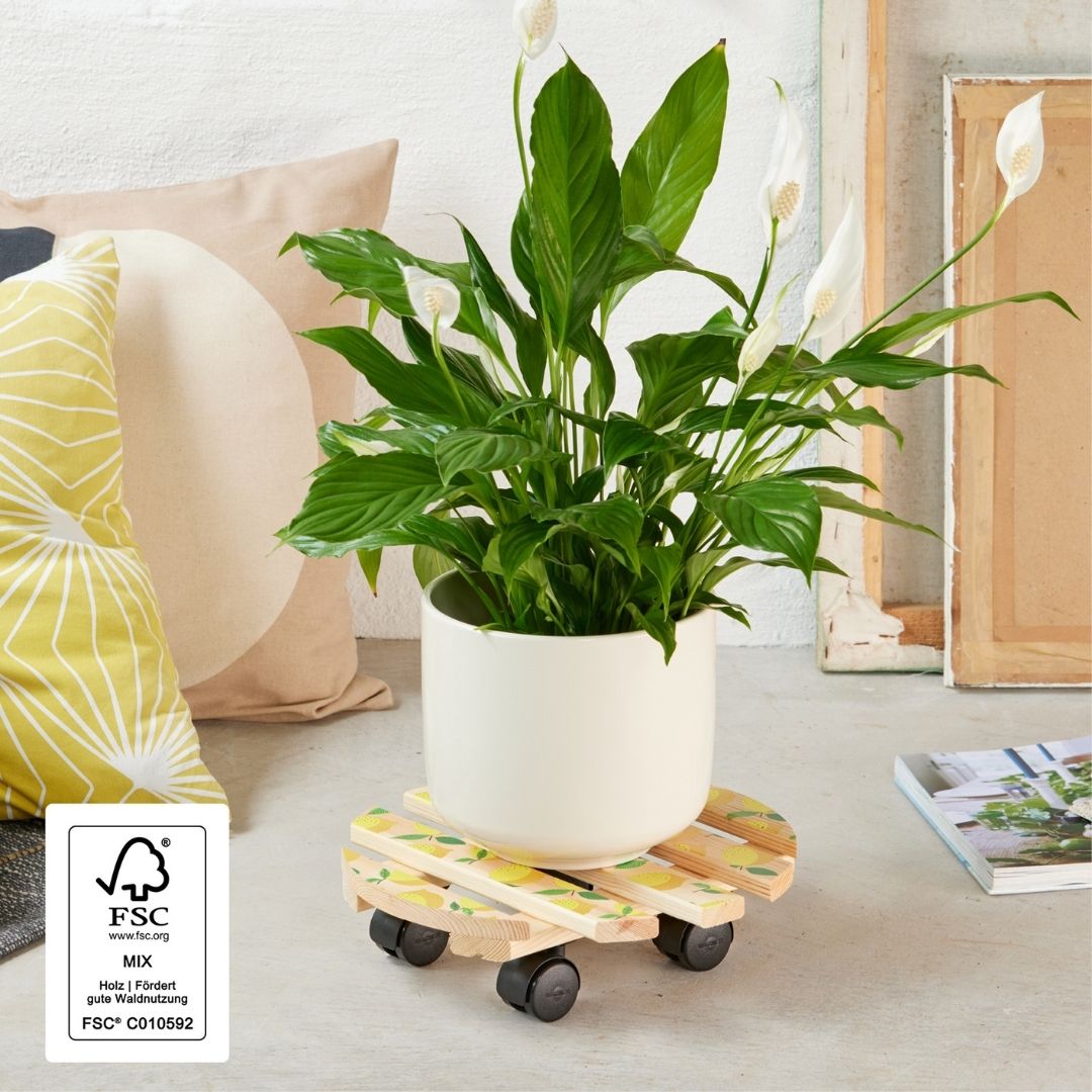 Plant Trolley Indoor Round Wood - Lemons