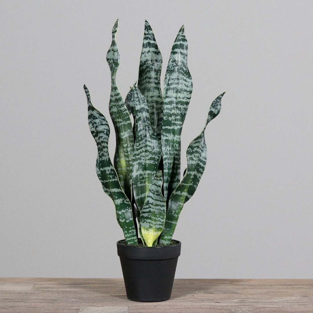 Sansevieria Artificial Plant