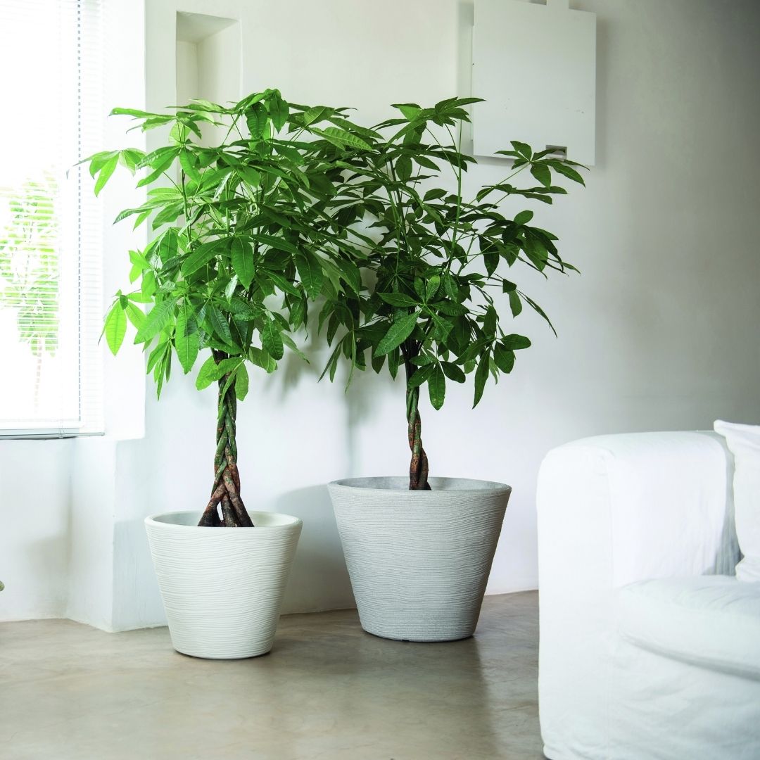 Shabby Conical Pot Corda - Off White