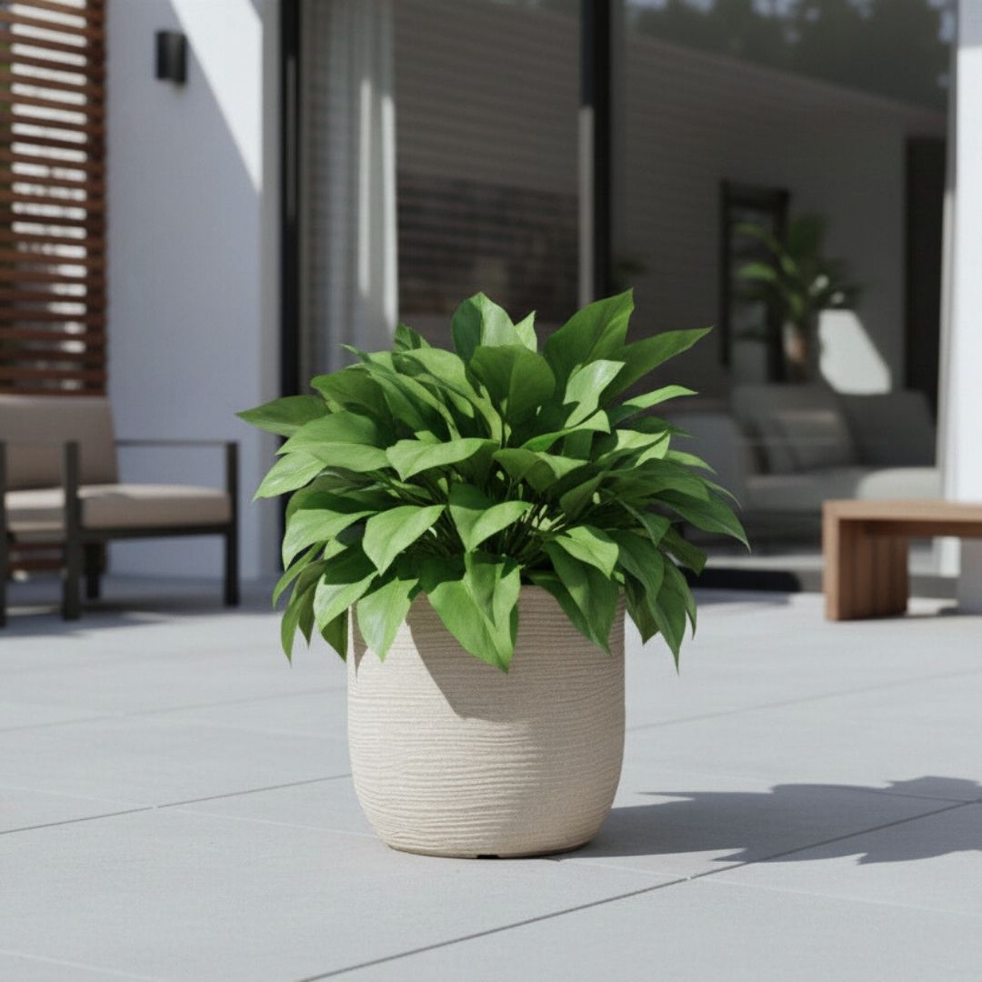 Shabby Egg Pot Corda - Off White