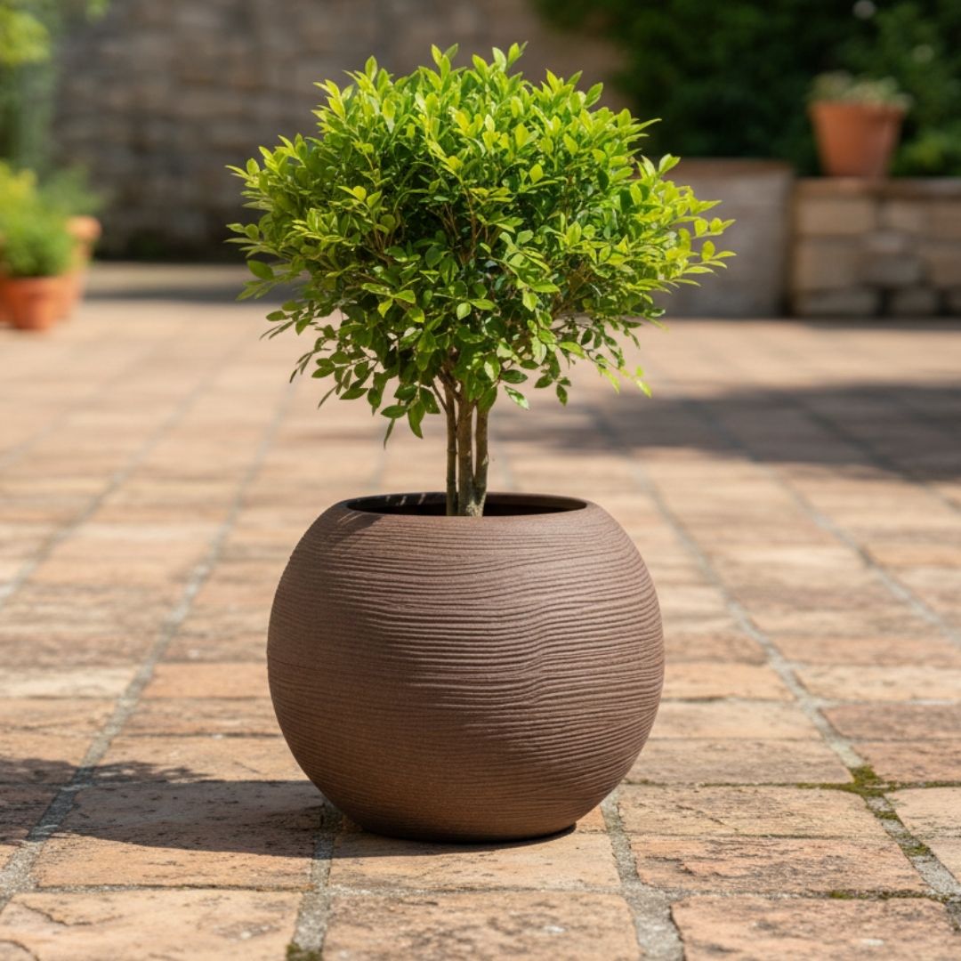 Shabby Global Pot - Brown