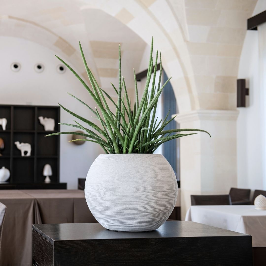 Shabby Global Pot Corda - Off White