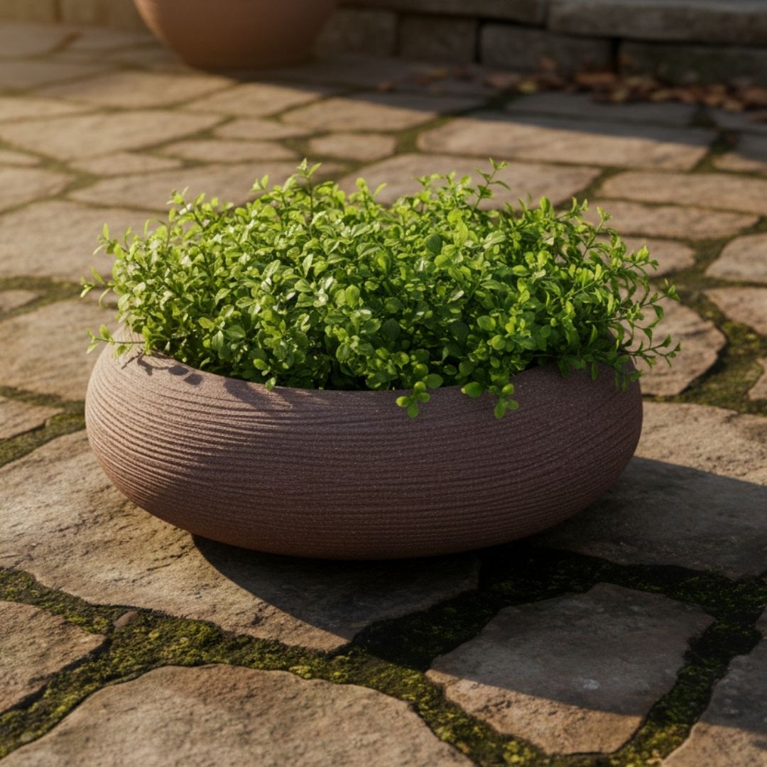 Shabby Low Bowl Planter - Brown