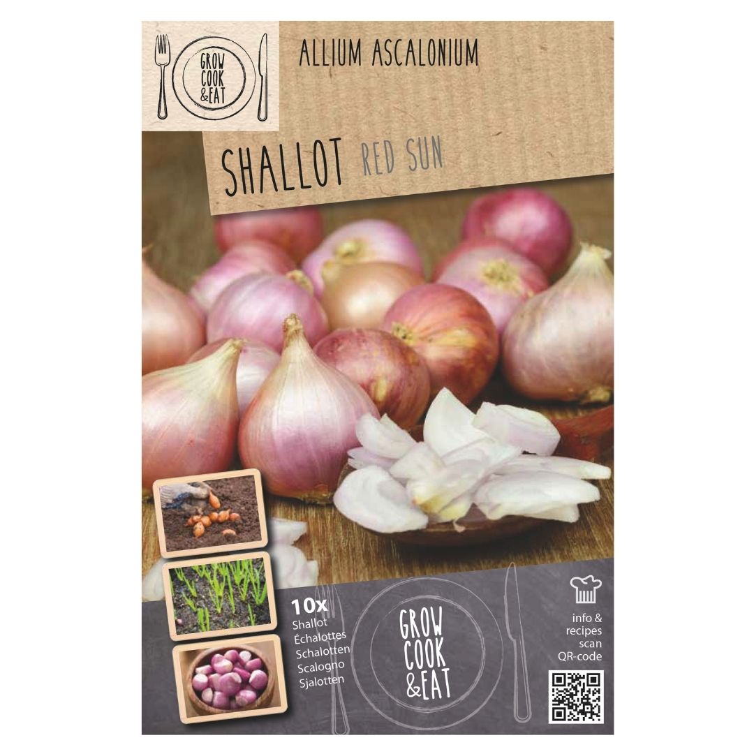 Shallots - Red Sun