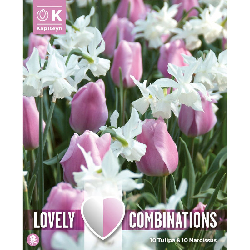 Spring Mix Pink Tulip & Narcissus Bulbs