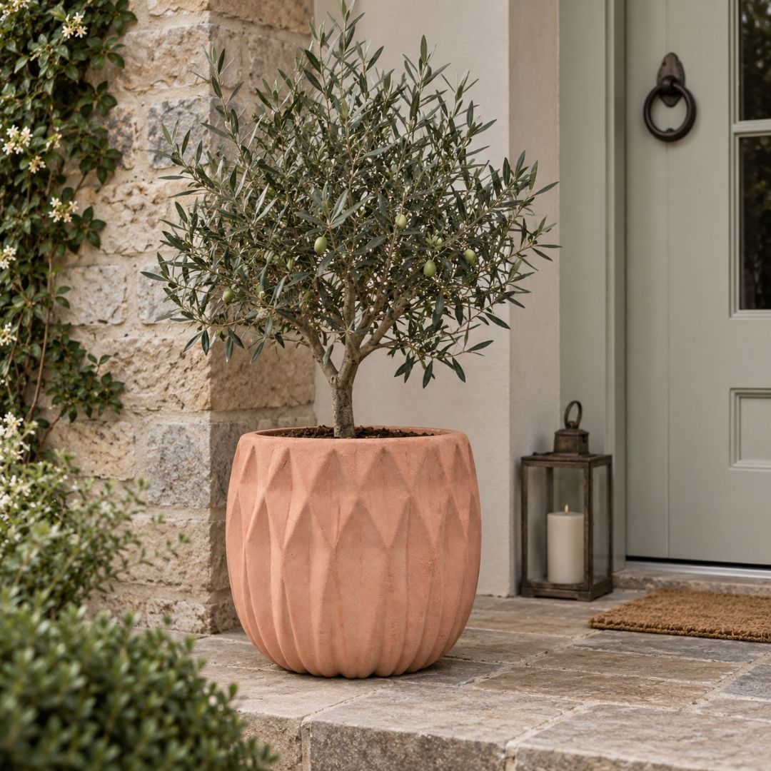 Terracotta Pot Carthage